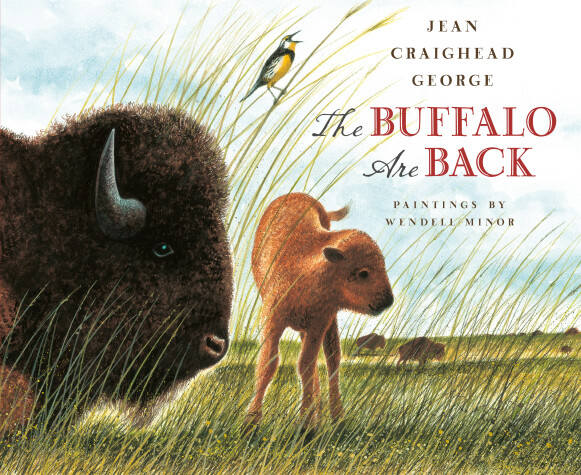 Book cover for The Buffalo Are Back