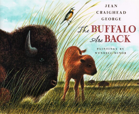 Book cover for The Buffalo Are Back
