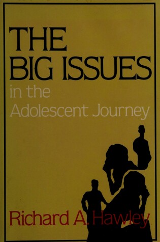 Cover of The Big Issues in the Adolescent Journey