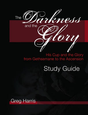 Book cover for Darkness and the Glory Sg