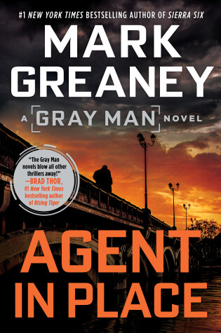 Book cover for Agent in Place