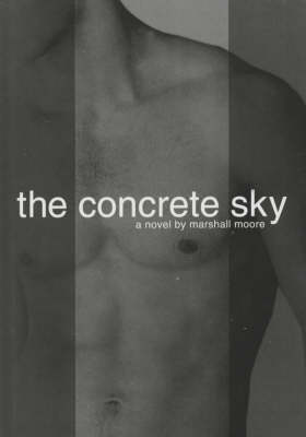 Book cover for The Concrete Sky