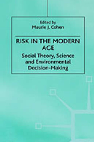 Cover of Risk in the Modern Age