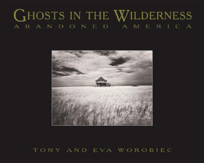 Cover of Ghosts In The Wilderness