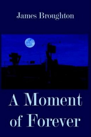 Cover of A Moment of Forever