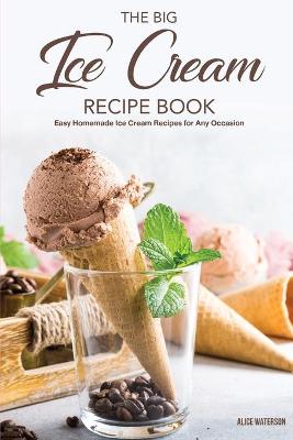 Book cover for The Big Ice Cream Recipe Book