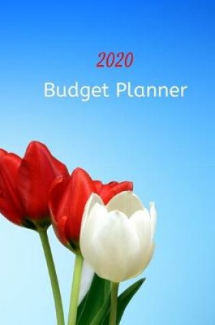 Cover of Budget Planner 2020