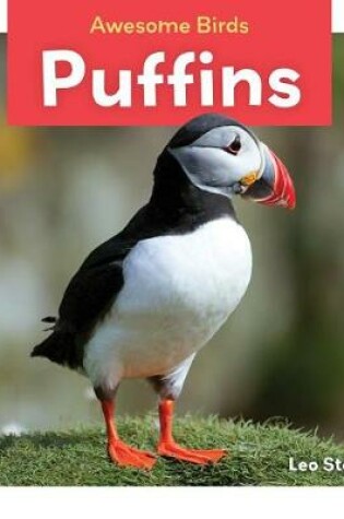 Cover of Puffins