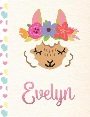 Book cover for Evelyn