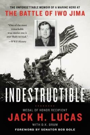 Cover of Indestructible