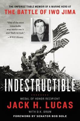 Book cover for Indestructible