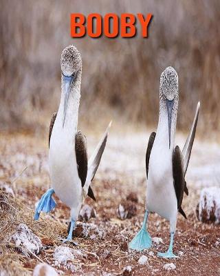 Book cover for Booby