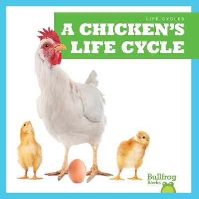 Cover of A Chicken's Life Cycle