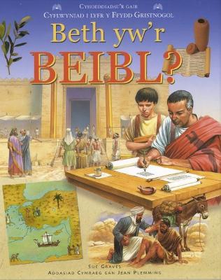 Book cover for Beth Yw'r Beibl?