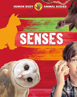 Cover of Human Body, Animal Bodies: Senses