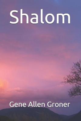 Book cover for Shalom