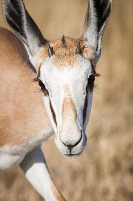 Book cover for Springbok Antelope Journal