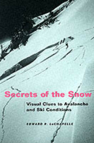 Cover of Secrets of the Snow