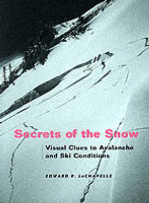 Book cover for Secrets of the Snow