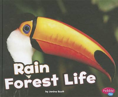 Cover of Rain Forest Life