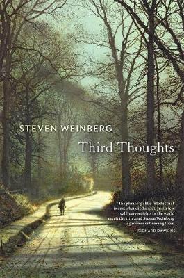 Book cover for Third Thoughts