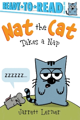 Book cover for Nat the Cat Takes a Nap