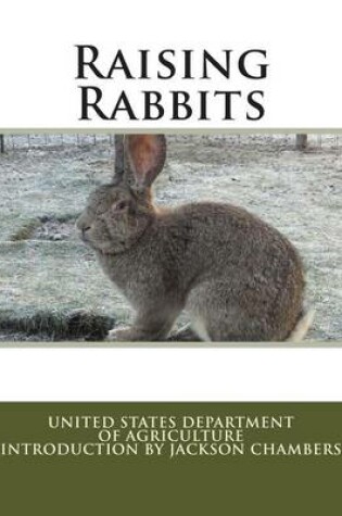 Cover of Raising Rabbits