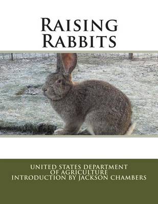 Book cover for Raising Rabbits