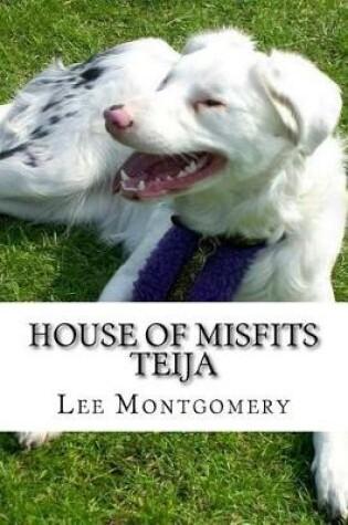 Cover of House of Misfits - Teija