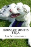Book cover for House of Misfits - Teija