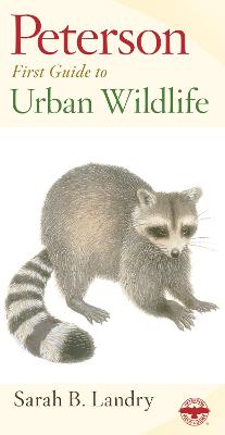 Book cover for Peterson First Guide to Urban Wildlife
