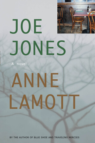 Book cover for Joe Jones