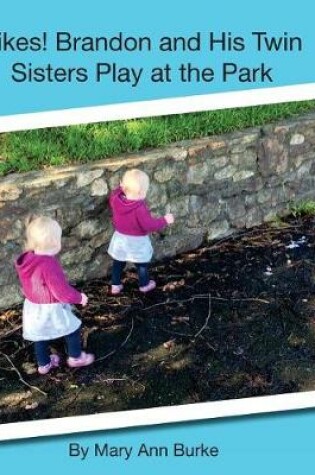 Cover of Yikes! Brandon and His Twin Sisters Play at the Park