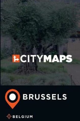 Cover of City Maps Brussels Belgium