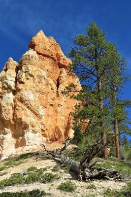 Book cover for Hiking in Bryce Canyon National Park Utah USA Adventure Journal