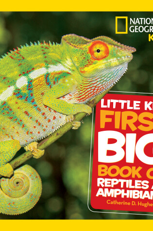 Cover of National Geographic Little Kids First Big Book of Reptiles and Amphibians