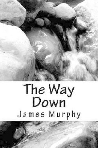 Cover of The Way Down