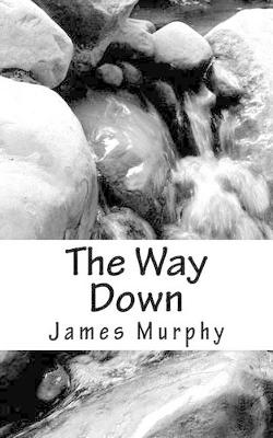 Book cover for The Way Down