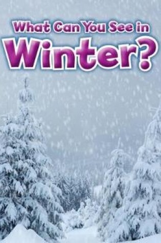 Cover of What Can You See In Winter?