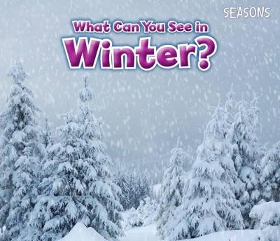 Book cover for What Can You See In Winter?