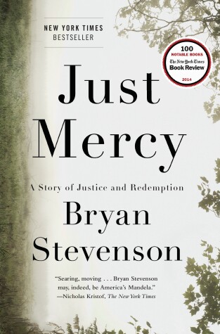 Book cover for Just Mercy