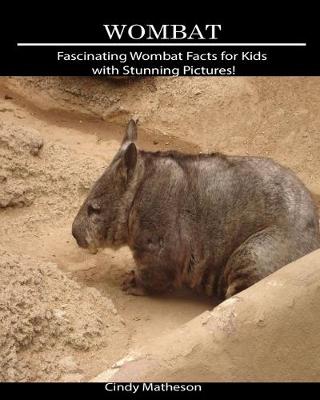 Book cover for Wombat