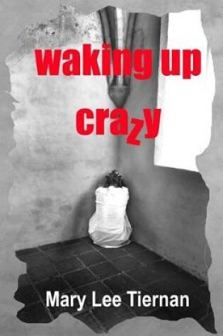 Cover of Waking Up Crazy