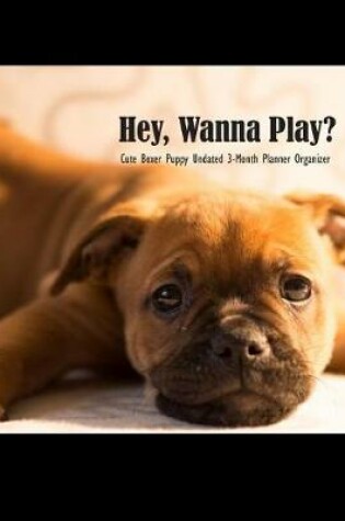 Cover of Hey, Wanna Play? Cute Boxer Puppy Undated 3-Month Planner Organizer