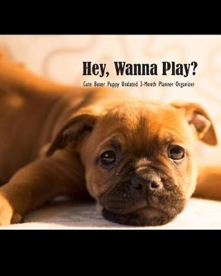 Book cover for Hey, Wanna Play? Cute Boxer Puppy Undated 3-Month Planner Organizer