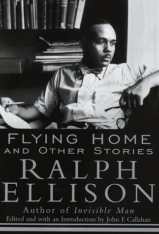 Book cover for Flying Home