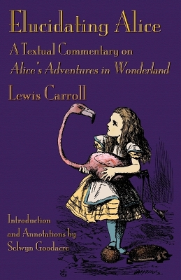 Book cover for Elucidating Alice