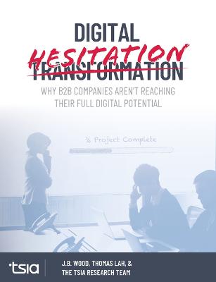 Book cover for Digital Hesitation