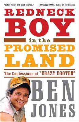Book cover for Redneck Boy in the Promised Land