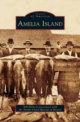 Book cover for Amelia Island